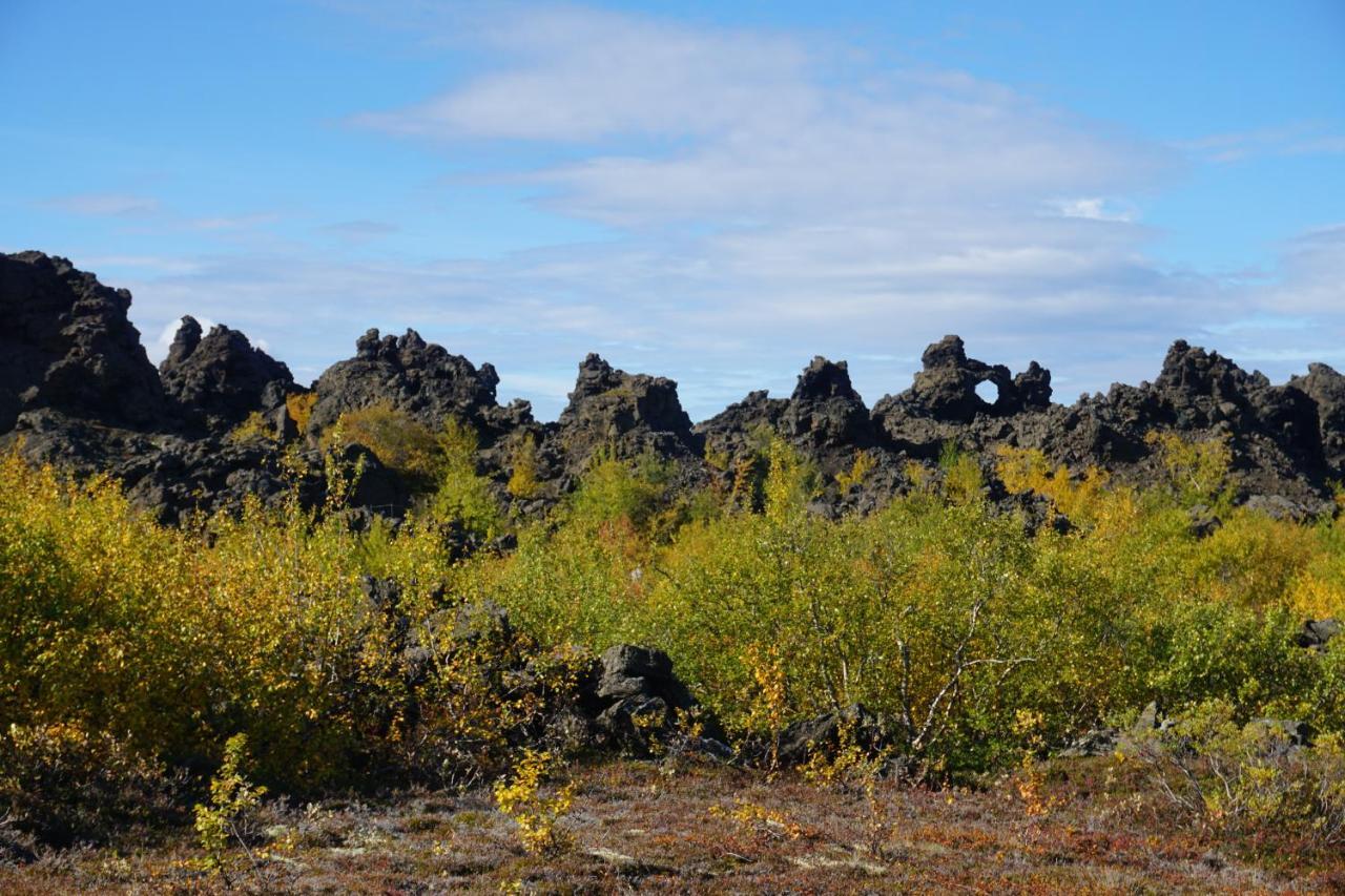 Slow Travel Myvatn - Þufa - Private Homestay Zewnętrze zdjęcie
